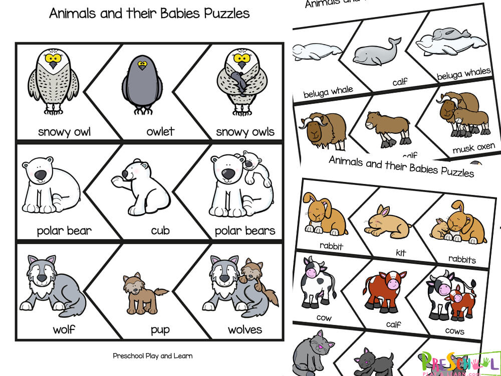 🐢 Animals with their Babies Names Printable Puzzle Activity for Kids