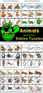 Children will have fun learning about a variety of Animals with their Babies Names with this animal printable! Simply print the baby animals names with pictures to learn about polar, domesticated, grassland and more animals and their babies with these fun and free Animal Puzzles. Simply print the animals with their babies  to learn about animals for toddlers, preschoolers, kindergartners, and grade 1 students. 