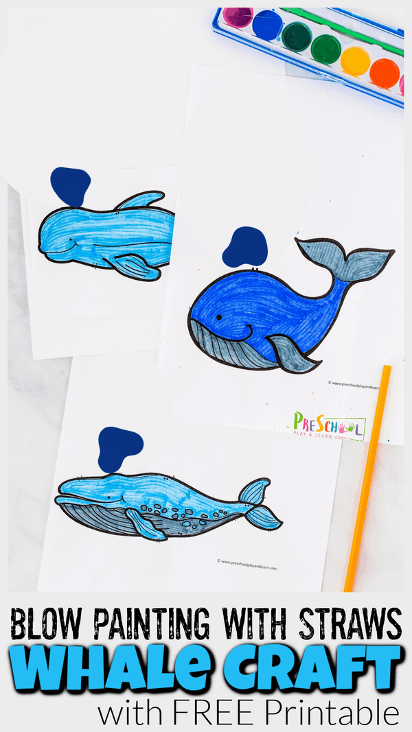 This super cute whale craft allows children to make a cute whale arts and crafts while at the same time strengthening oral muscles with a blow painting with straws. This whale craft idea is perfect for toddler, preschool, pre-k, kindergarten, and first graders too. Simply print whale printable template and you are ready to make this fun ocean craft for kids.