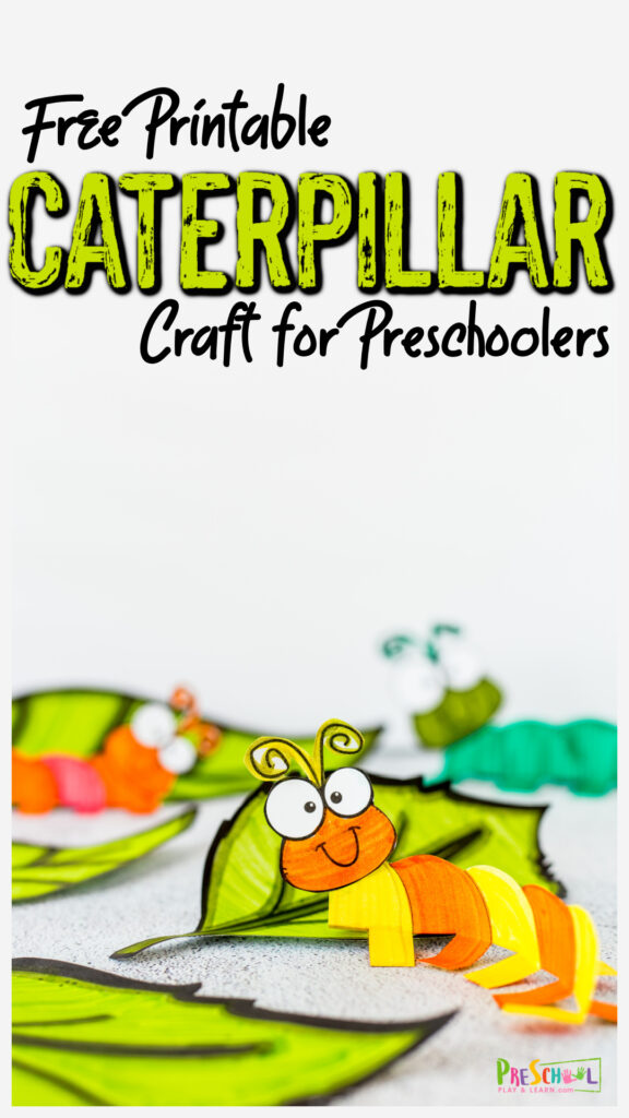 Whether you are studying how caterpillars turn into butterflies celebrating these cute insects, or just looking for a fun bug craft for kids, this free printable caterpillar craft for preschoolers is perfect! Print the caterpillar printable and follow our simple step-by-step instructions to learn how to make a caterpillar with a simple paper craft. This caterpillar art preschool, pre-k, toddler, kindergarten, and first graders is perfect for a spring craft too!