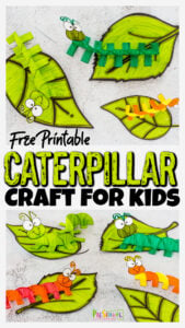 Whether you are studying how caterpillars turn into butterflies celebrating these cute insects, or just looking for a fun bug craft for kids, this free printable caterpillar craft for preschoolers is perfect! Print the caterpillar printable and follow our simple step-by-step instructions to learn how to make a caterpillar with a simple paper craft. This caterpillar art preschool, pre-k, toddler, kindergarten, and first graders is perfect for a spring craft too!