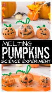 Kids will have fun exploring scientific principals with this melting pumpkins project perfect for October. This simle pumpkin science experiment allows toddler, preschool, pre-k, kindergarten, and first graders to explore a chemical reaction and cause and effect. Not only will children learn about simple chemistry through this baking soda and vinegar experiment, but they will aslo have loads of fun with halloween activities.