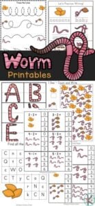 worm worksheets