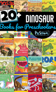 Prehistoric dinos are fascinating to kids of all ages! So we picked some of our favorite Dinosaur Books for Preschoolers so you'd have a quick, go-to list of dinosaur children's book suggestions for toddler, preschool, pre-k, kindergarten, first grade, 2nd grade, and 3rd graders. So whether you use these dinosaur books for kids along with a dinosaur theme or as bedtime stories, these lovely illustrations and delightful tales are sure to be a hit!