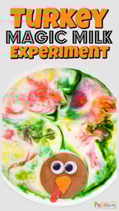 FUNย turkey activity for fall that combines aย turkey science experiment withย november activities! Clever thanksgiving magic milk project!