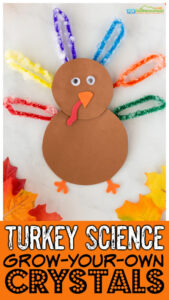 turkey-science
