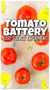 Tomato-Battery electricity experiment for kids