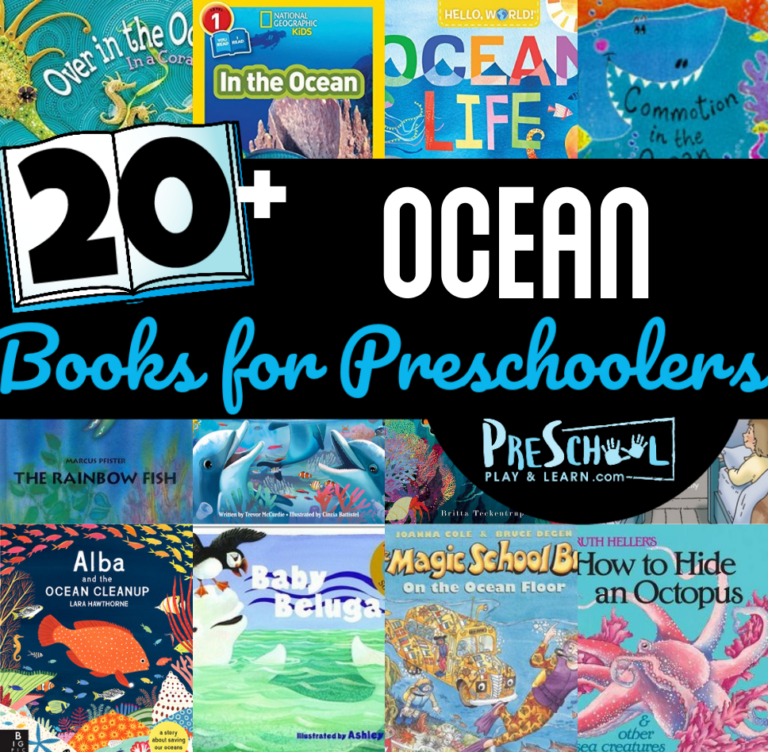 Ocean Books for Preschoolers
