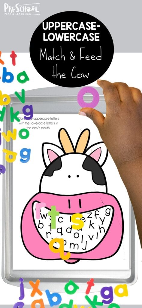 Kids will have fun working on letter recognition with this Feed the Cow letter matching activity. This alphabet activities for preschoolers and kindergartners allows kids to get hands-on as they practice matcing upper and lowercase letters. Simply print alphabet matching game printable and you are ready to play and learn with this farm theme literacy activity.