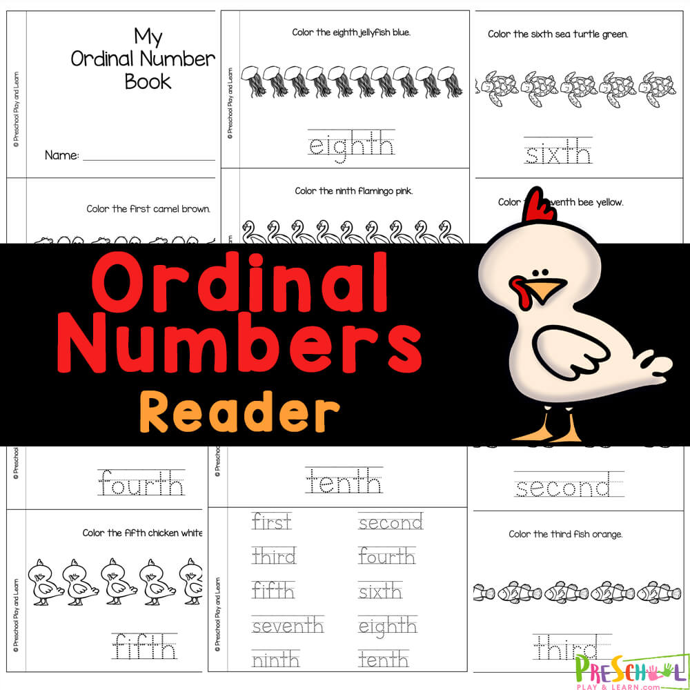 Grab ordinal numbers printable for introduction to number order words. Insead of worksheets, kids will color and read the minibook activity. 