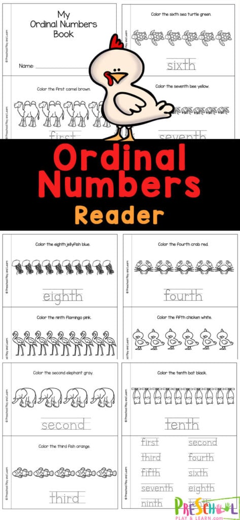 This ordinal numbers printable is a great introduction to number order words. Instead of using ordinal numbers worksheet for kindergarten, try this math activity with preschool, pre-k, and kindergartners.  Simply print this ordinal numbers activity to work on numbers 1 to 10. 