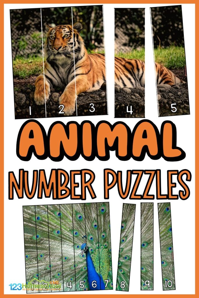 Grab these Animal Puzzles for a fun way to practice number sequencing and have fun with real pictures of fascinating wild animals at the same time. If your child likes cute animals, then this animal math is sure to interest them and make this an engaging number sequencing game for your preschool, pre-k, and kindergarten age students. Simply print the free animl printables to use this number sequencing activities for preschoolers. 