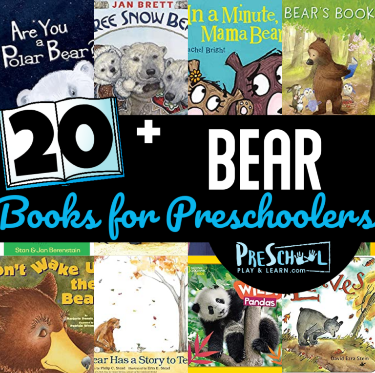20+ Cute Bear Books for Preschoolers and Children