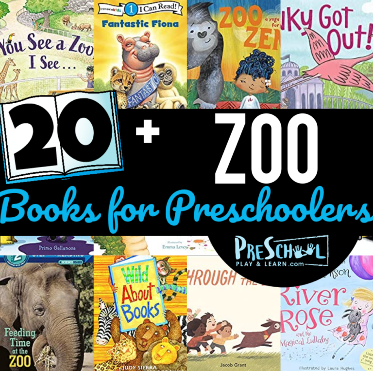 Zoo Books for Preschoolers