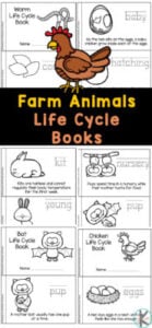 These fun, free printable farm animal life cycles books are great for young children to learn about four different farm animals and their life cycle. These farm animal printables allow toddler, preschool, pre-k, and kindergarten age kids to learn more about the life cycle of a worm, the chicken life cycle, rabbit life cycle, and bat life cycle too. Simply print farm animals for kids readers to color, read, and learn about life cycles of animals for kids.