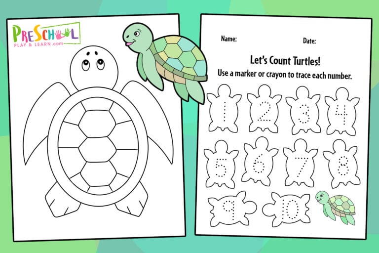 FREE Printable Turtle Worksheets for Preschool Theme