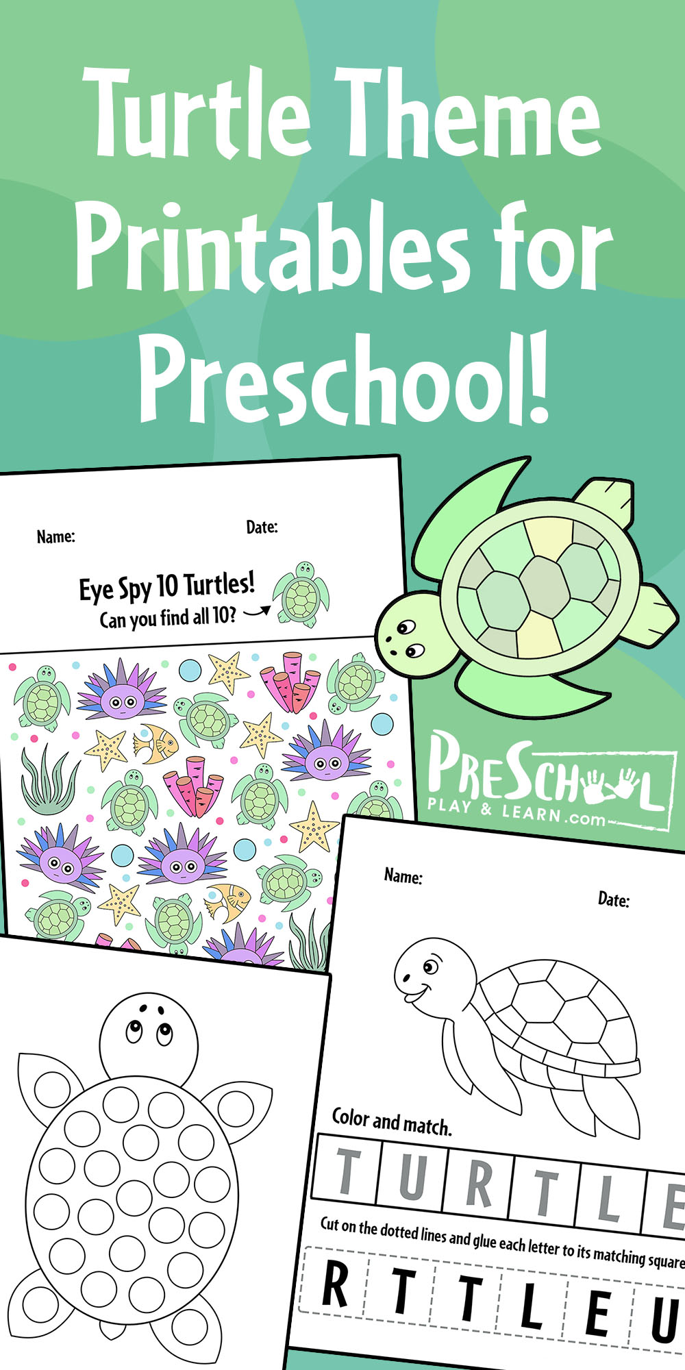 Free Printable Turtle Worksheets Free Printable Turtle Worksheets