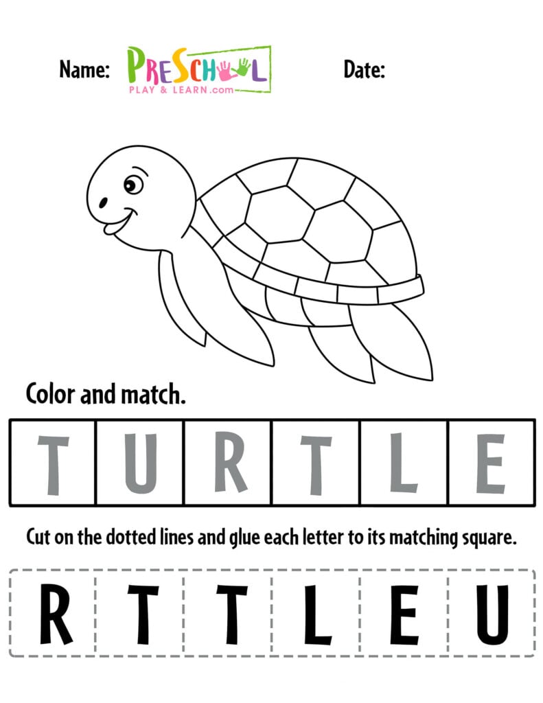 Turtle theme for preschool