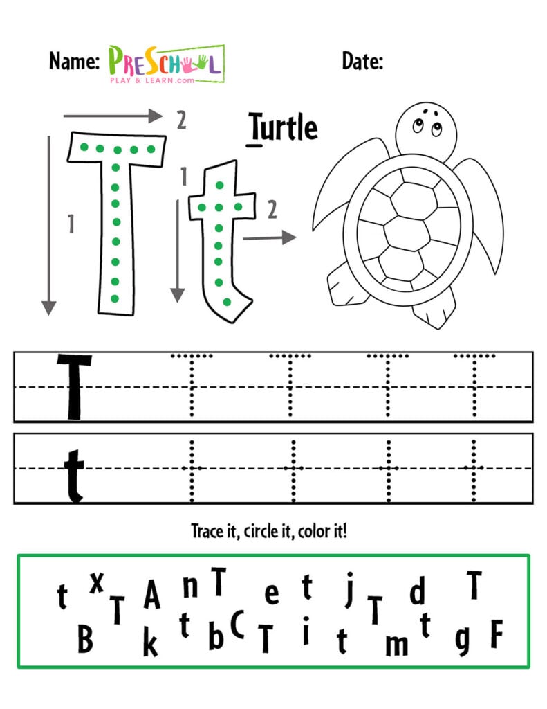turtle colouring