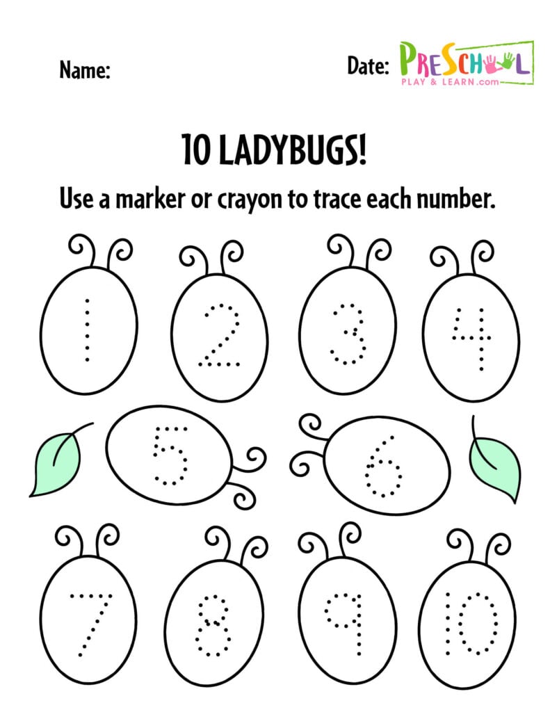 Ladybug Number Trace Preschool Play
