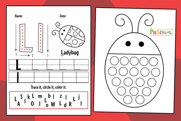 FREE Ladybug Printable Worksheets for Preschool