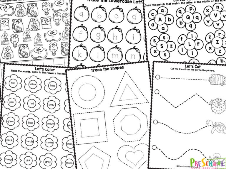 Free Preschool Morning Work Worksheets