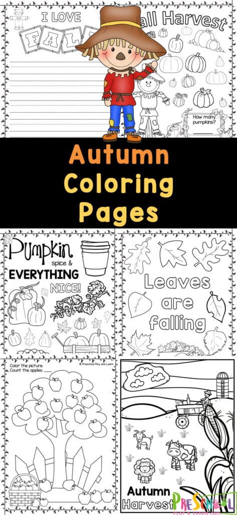 Get ready to embrace everything that makes fall so wonderful with our adorable Autumn Coloring Pages! From pumpkins to scarecrows to apple picking, these free printable fall coloring pages are perfect for kids of all ages. Just print the autumn color sheets and let the coloring fun begin! Perfect for those chilly or rainy days when you need a no-prep activity. Happy coloring!