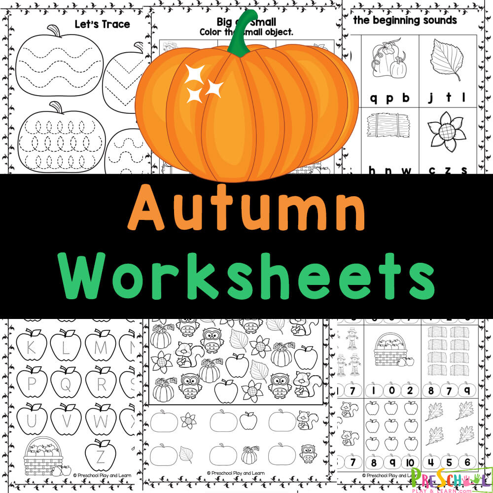 Practice math and literacy this fall with these free Autumn worksheets for preschoolers that combine cute clipart with important skills.