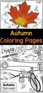 Looking for a fun way to boost fine motor skills and expand fall vocabulary? Check out this adorable Autumn Coloring Pages Printable set! These free colouring pages are perfect for toddlers, preschoolers, pre-k, and kindergarten-aged kids, these printables make learning about the season enjoyable and engaging. Download them today and let the creativity flow!