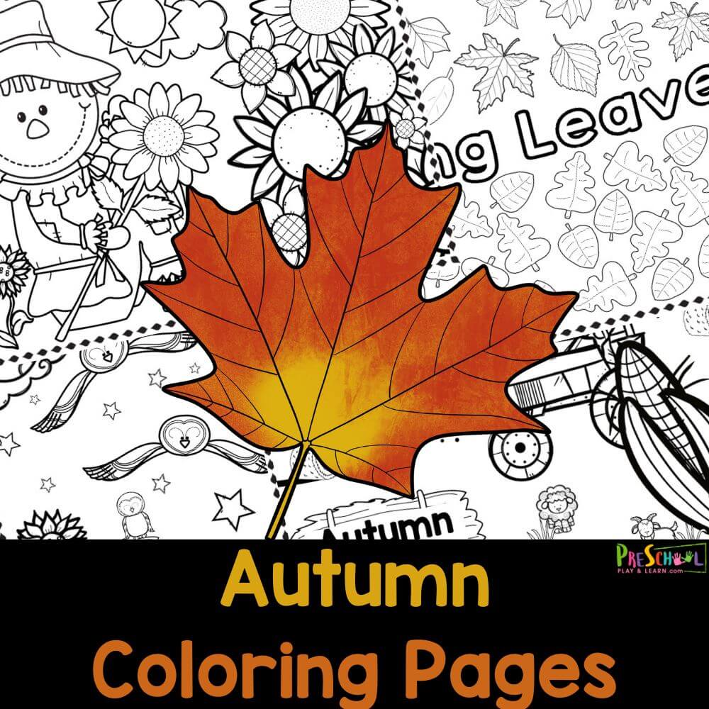Get creative this fall with our free Autumn coloring pages printable set for preschoolers that feature pumpkins, scarecrows, falling leaves , and more!