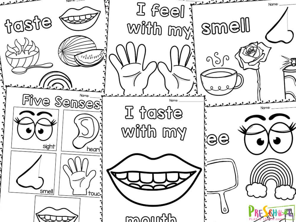 Are you looking for a fun and engaging way to teach your little ones about the five senses? Look no further! We are excited to offer a set of free coloring pages designed specifically for this purpose. These interactive sheets invite children to explore touch, taste, sight, smell, and hearing in a creative and enjoyable way. What better way to learn about the world around them than through art and imagination?

These coloring pages are not just about filling in colors; they are gateways to discussions, explorations, and bonding moments with your children. Whether you're a parent, teacher, or caregiver, these sheets are a fantastic tool to combine learning with creativity.