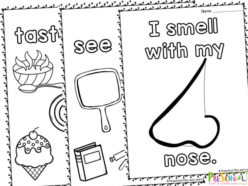 This pack contains 11 pages of coloring activities:

A page that contains all the five senses
I see with my eyes
I hear with my ears
I smell with my nose
I feel with my hands
I taste with my mouth
See coloring page
Hear coloring page
Smell coloring page
Feel coloring page
Taste coloring page