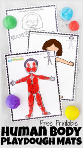 human body activities for kids